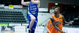 Jerebko, Rönnqvist och Andersson spelar EM-kval 