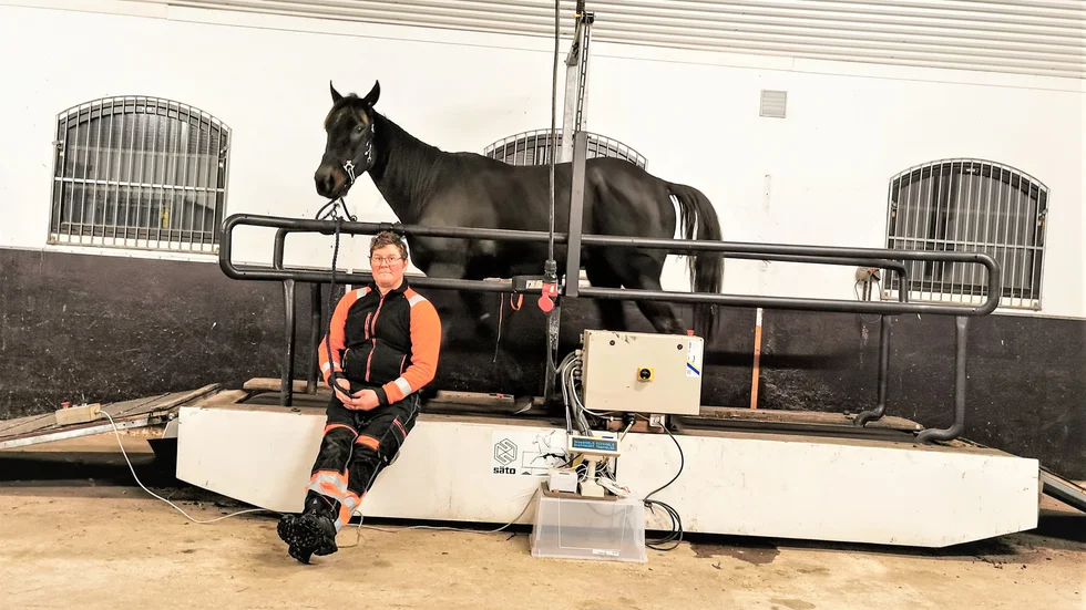 Roger Nilsson och hästen Trix On Line vid stallets nya investering. Ett rullband för hästarna.