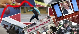Nyorden 2020 – vet du vad boomer eller bolundare är?