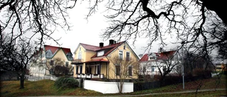 Medborgare vill förlänga trappan i palissaderna