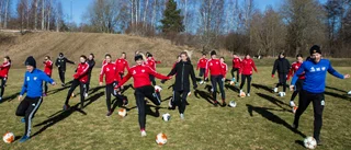 Borendamerna shufflar för att våga mer på plan