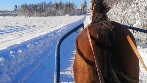 Vita vidder och snö eller isunderlag. Då trivs Roger Nilsson och hans extra bra.
