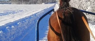 Roger Nilssons bästa tid är nu - och vilka race!