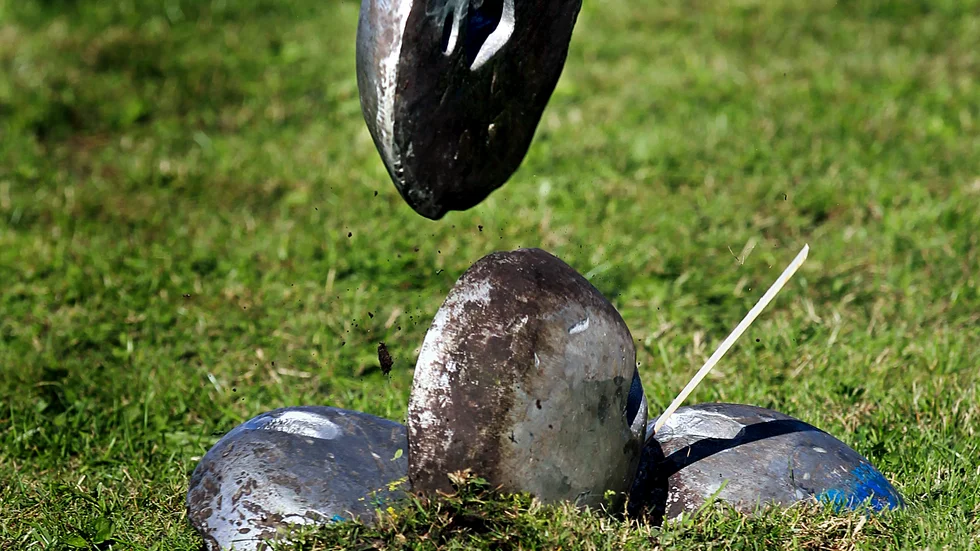 Det vore skojigt om Hej Gotland gjorde inslag om våra gutniska idrottsgrenar som Varpa, Pärk och stångstörtning, tycker skribenten.