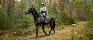 På hästryggen genom skön natur