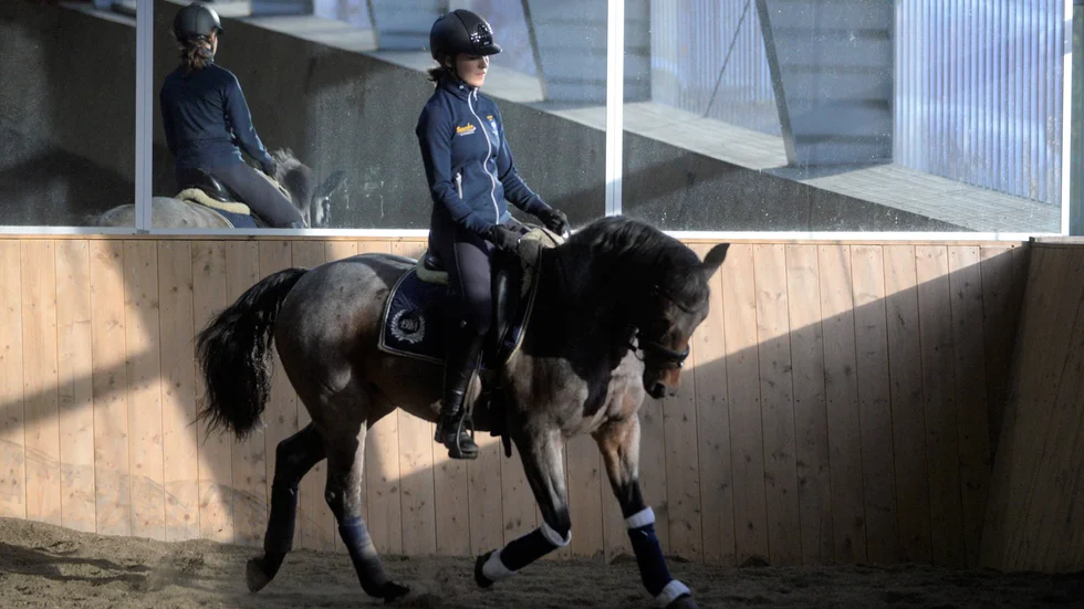 Tilda Nydahl Sund på Dogge Doggelito är på plats i Helsingborg och ska försöka ta sig till final i ponnydressyr-SM.
