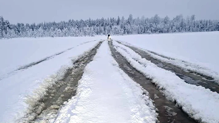 Stortjärn, bild från den 9 januari i år.