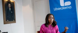 Klassisk folkpartism skulle räcka långt för L