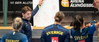 Sveriges tuffa väg till medaljsuccé i EM