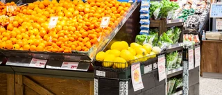 Nyttig mat för fattiga riddare