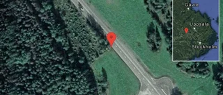 Hästar på vägen på väg 70