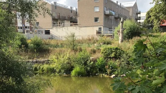 På min vandring längs Nyköpingsån passerar jag genom Bryggeriet och blickar upp mot de förfärliga byggnadskroppar i kvarteret Åkroken som snart är klara för inflyttning. Skriver Bosse Tolander.