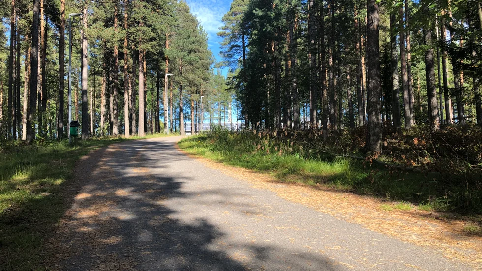 Det var när flickan cyklat upp för backen mellan Annelund och Nygatan och svängde höger förbi kyrkogården som hon mötte mannen som blottade sig för henne. 