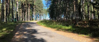 Blottade sig för 10-årig flicka – rättegången ställs in: "Den här mannen har förstört mycket"