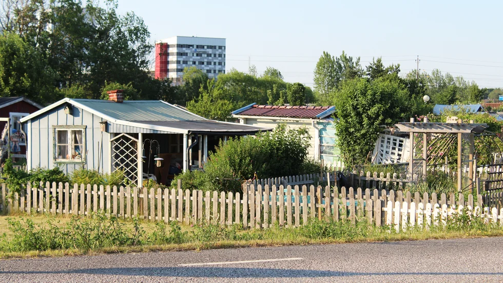 Tomteboda koloniförening är uppsagd till årsskiftet. Men än verkar inte sista ordet vara sagt. 