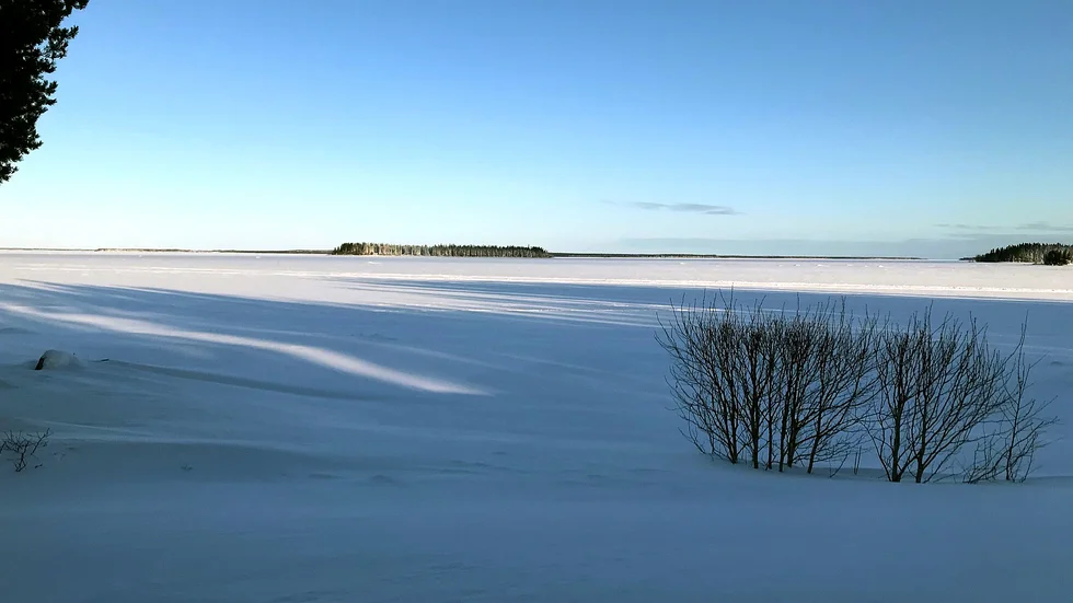 Ett vackert vinterlandskap.