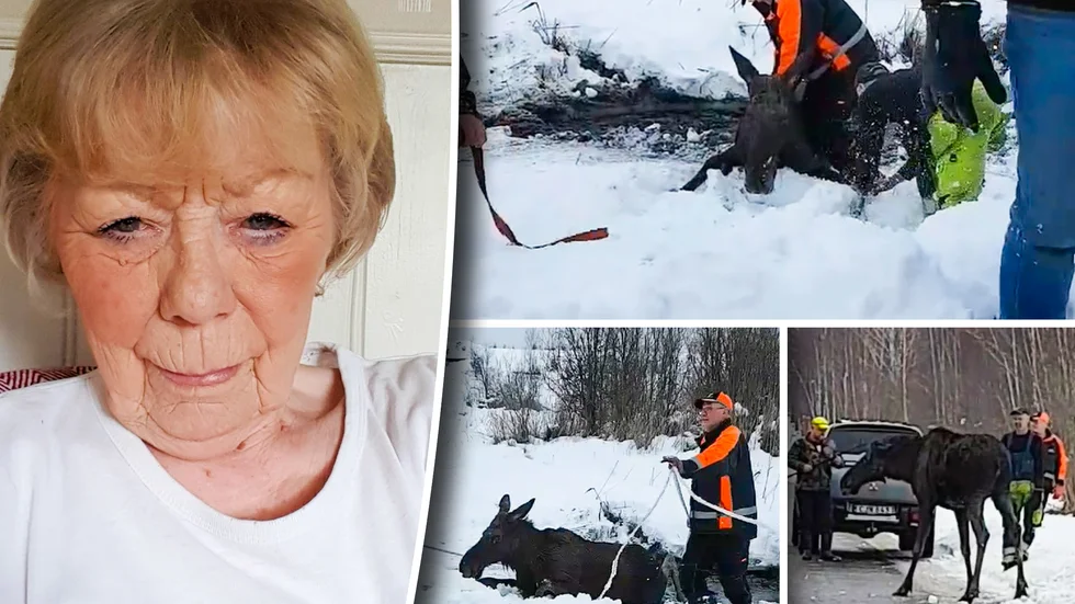 Lena Carlsson och bilder från räddningsinsatsen.