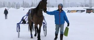 Svår fredagsomgång på Bodentravet