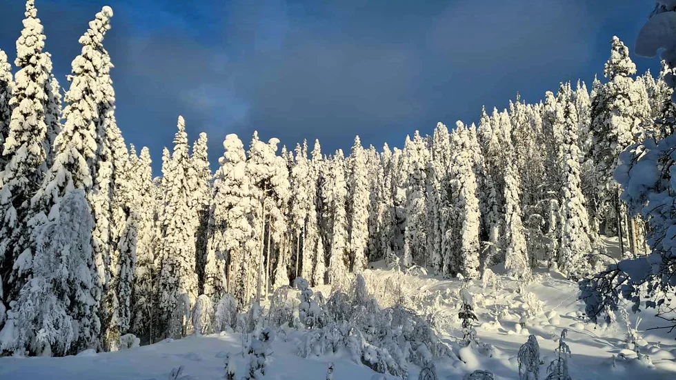 Nu har vi att se fram emot mer snö.