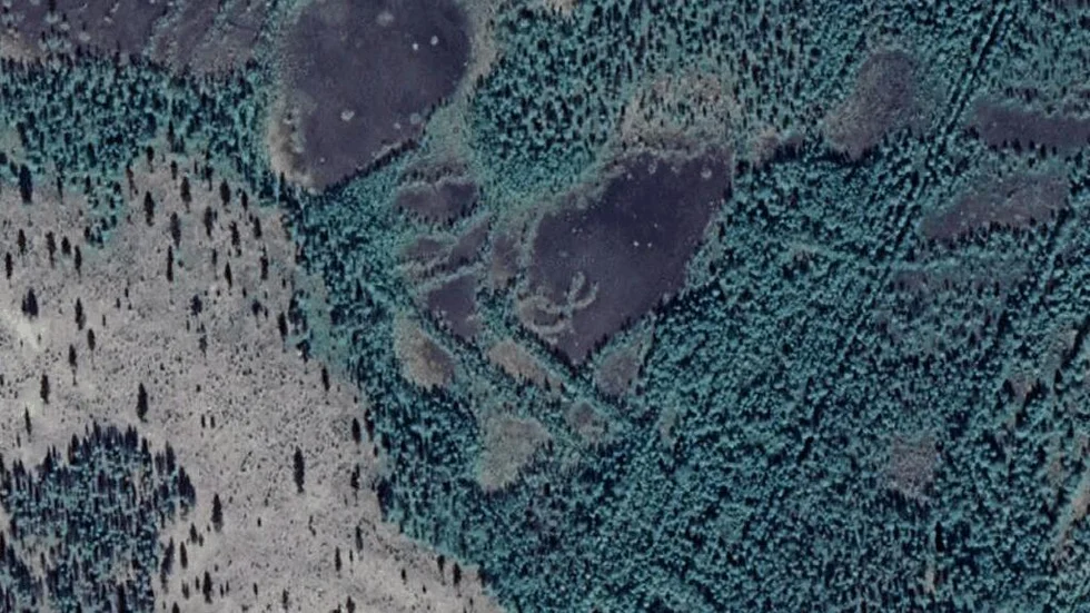 Området kring Bergvägen 9