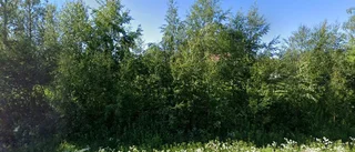 Hus på 92 kvadratmeter från 1950 sålt i Nikkala - priset: 160 000 kronor