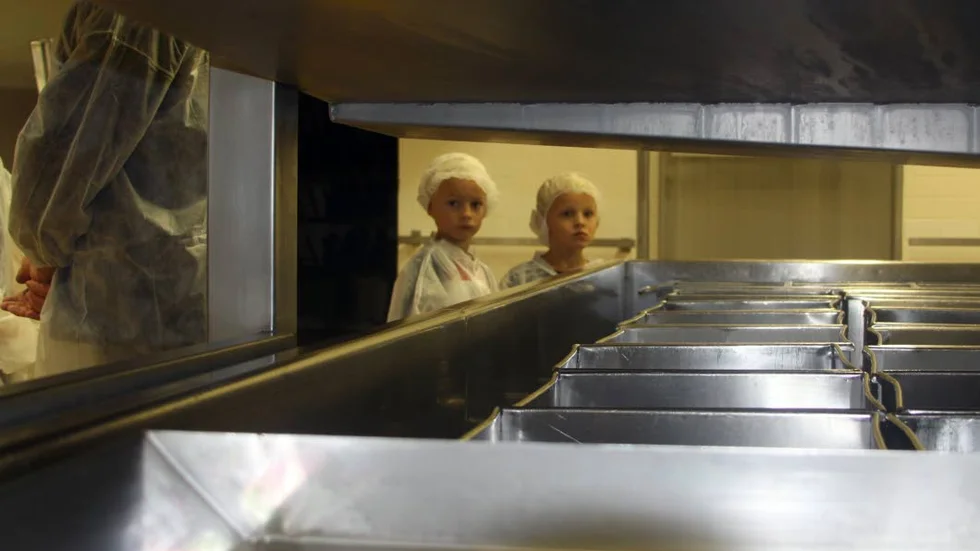Bröderna Otto och Felix Jansson från Allingsås besökte Boxholms Ost och fick en guidning i mejeriet.