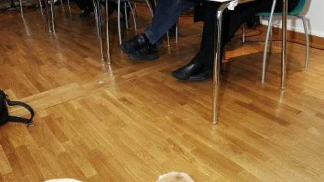 Moderator Kent Ögren presenterar de medverkande på seminariet om funktionshindrades rätt: Kurt Hofgren, Carl Älfvåg, Bo Strömbäck och Annika Åkerberg. I förgrunden vilar Majsan, Annika Åkerbergs ledarhund.FOTO: Bengt-Åke Persson