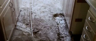 Svartmöglet gjorde henne sjuk