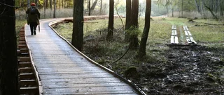 Kärna mosses martallar i farozonen