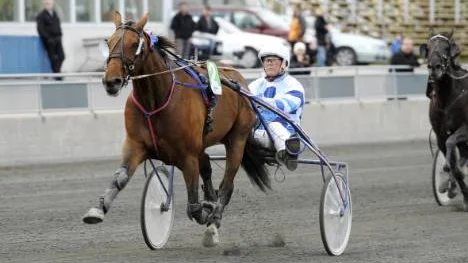 The Nobel Cape med Roger Nilsson i sulkyn inledde V5-omgången på Bodentravet med en komfortabel seger.
