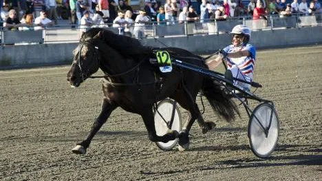 Ohotad etta. Ove A Lindqvist och hästen Can Elden hade inga större problem att vinna lopp nio på Bodentravet. Det var också finalen i kallblodsloppet. "En fin häst", sa Lindqvist efter loppet.