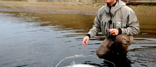 Gunnar Westrins fiskekrönika: Henke och jag på Pampas