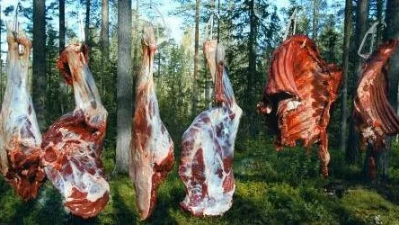 Kanske inte en strålande sol de närmaste dagarna. Men hyggligt varmt med temperaturer kring 15 grader.