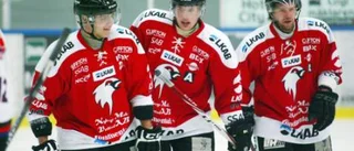 Kiruna fattade direkt poängen med allettan