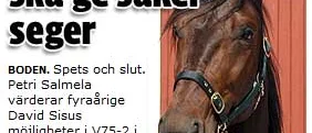 Finsk Sisu ska ge säker seger