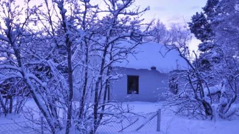 Bakom vita frostiga grenar gömmer sig Elin Niemis hus i Nattavaara station.