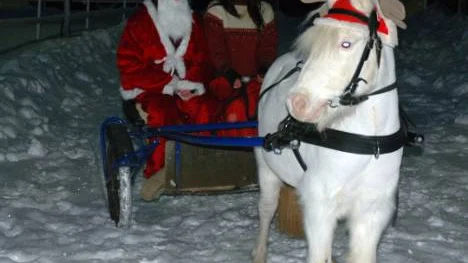 Det är inte Rudolf, som drar tomtarna Jenny Hansson och Simon Mellin, utan Popcorn.