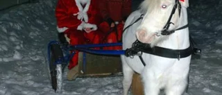 Galopp satte fart på julen