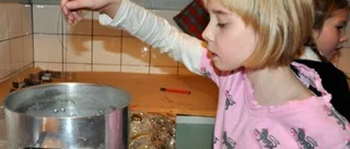 Nystartad scoutkår i Malmberget