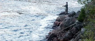 Nu ska Norrbotten bli paradis för laxfiskare