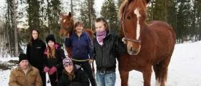 Stallgäster gör ett hästjobb