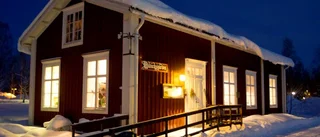 Jakten på rötter gör att släkten växer på träd
