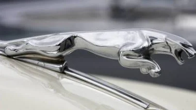 En och en annan jaguar fanns bland veteranerna.
