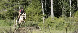 Nytt försök att få igång fälttävlansintresset i Norrbotten
