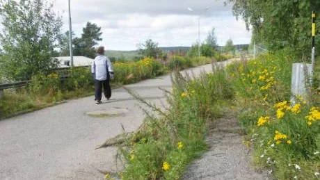 Östra Malmberget har blivit ett förslummat område där trottoarer växer igen av sly och ogräs.FOTO: Marie Ridderström