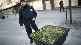 En 24-årig man slapp anmälan om skadegörelse efter det att Peter Wäppling gått med på hans erbjudande om att plantera tillbaka de blommor han ryckt upp från lådorna.