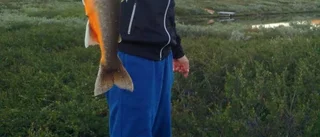 Bildextra: Stort intresse för Fiske-DM