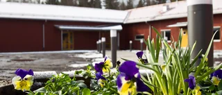 Vidingsjö motionscentrum uppbyggt efter branden