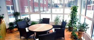 Midskogen - paradiset för en glad pensionär