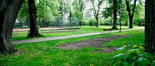Rädda Asylenparken innan det är för sent